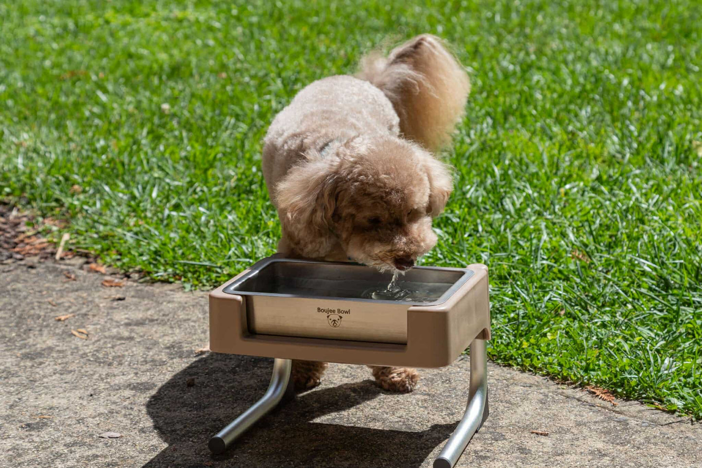 Enclosed Water Bowl