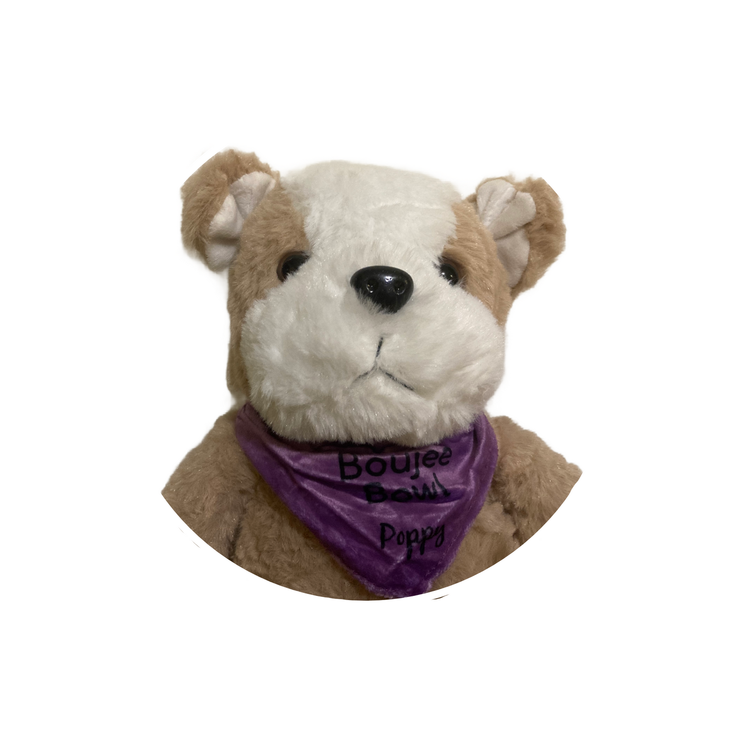 Poppy Puppy