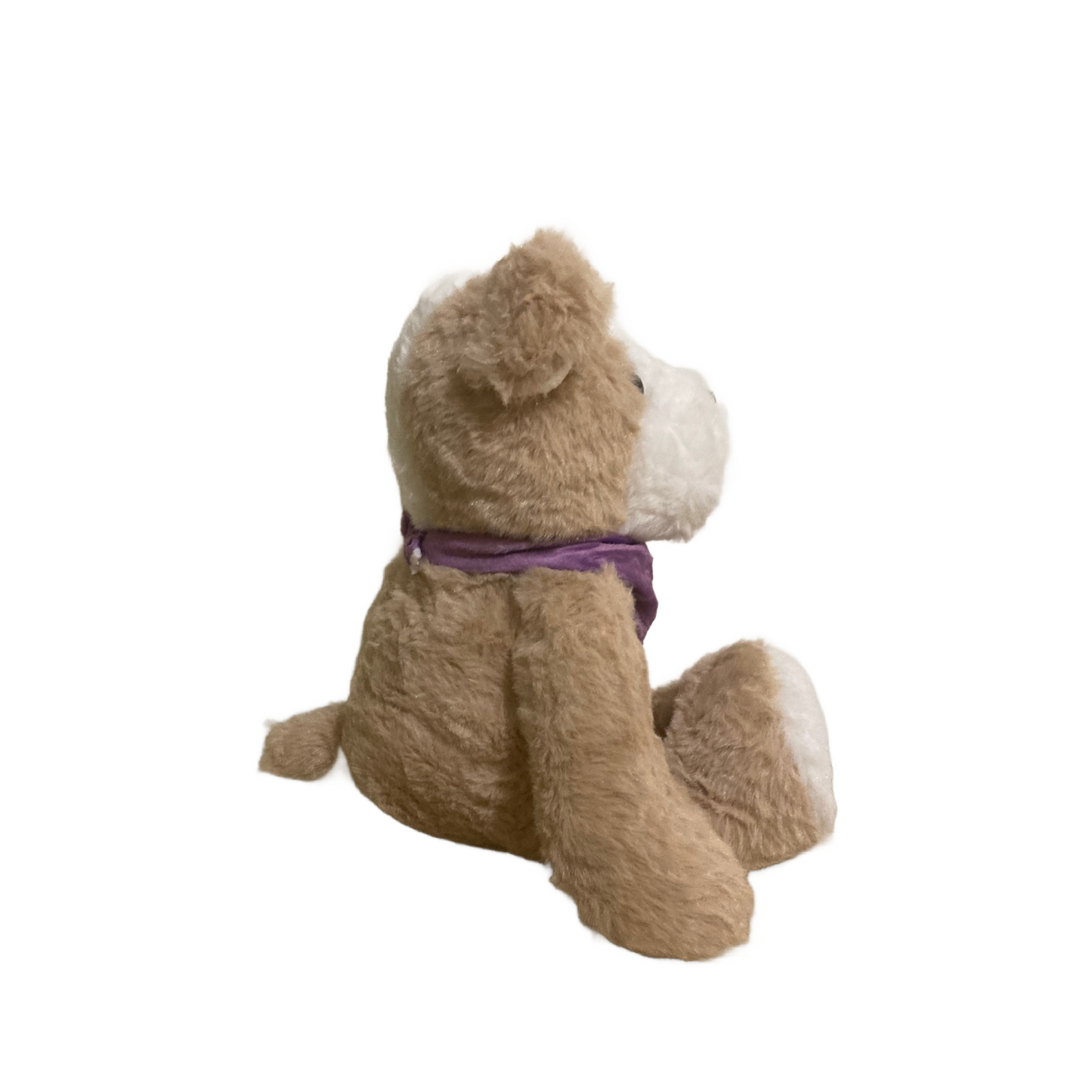 Poppy Puppy
