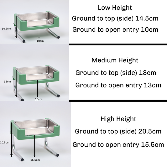 Boujee Bowl Regular Feeder Set