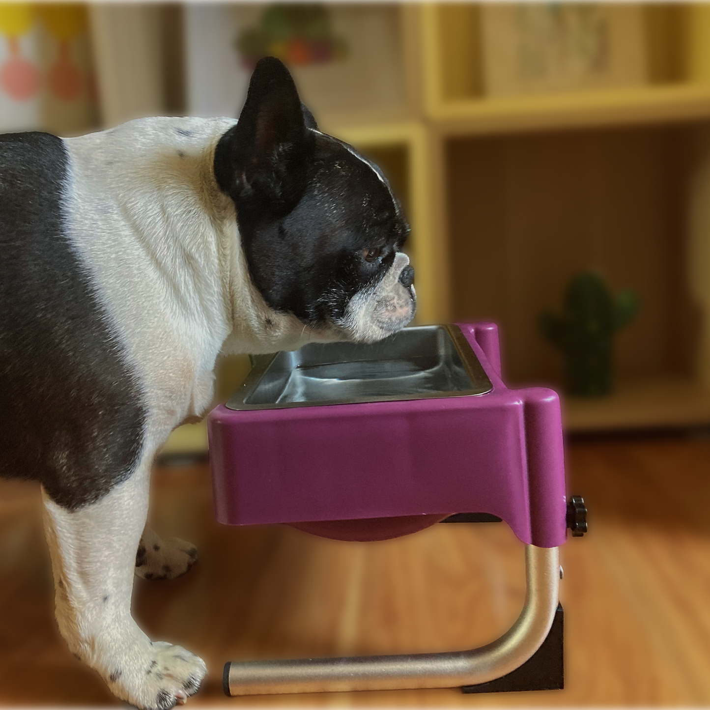 Enclosed Water Bowl Set