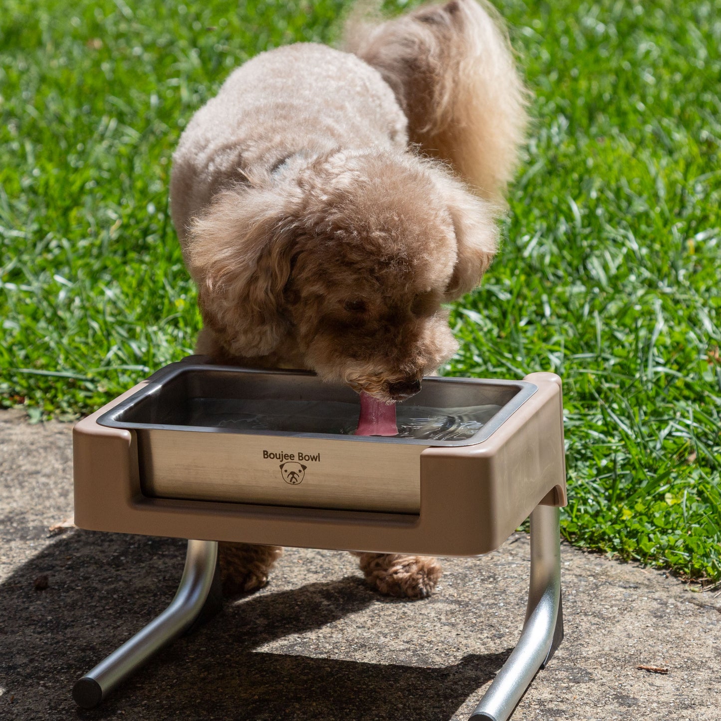 Enclosed Water Bowl Set