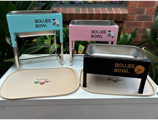 BOUJEE BOWL for big dogs bundle