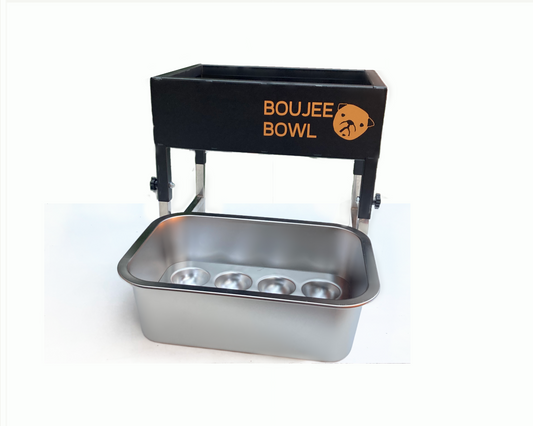 BOUJEE BOWL for big dogs Slow Feeder Set