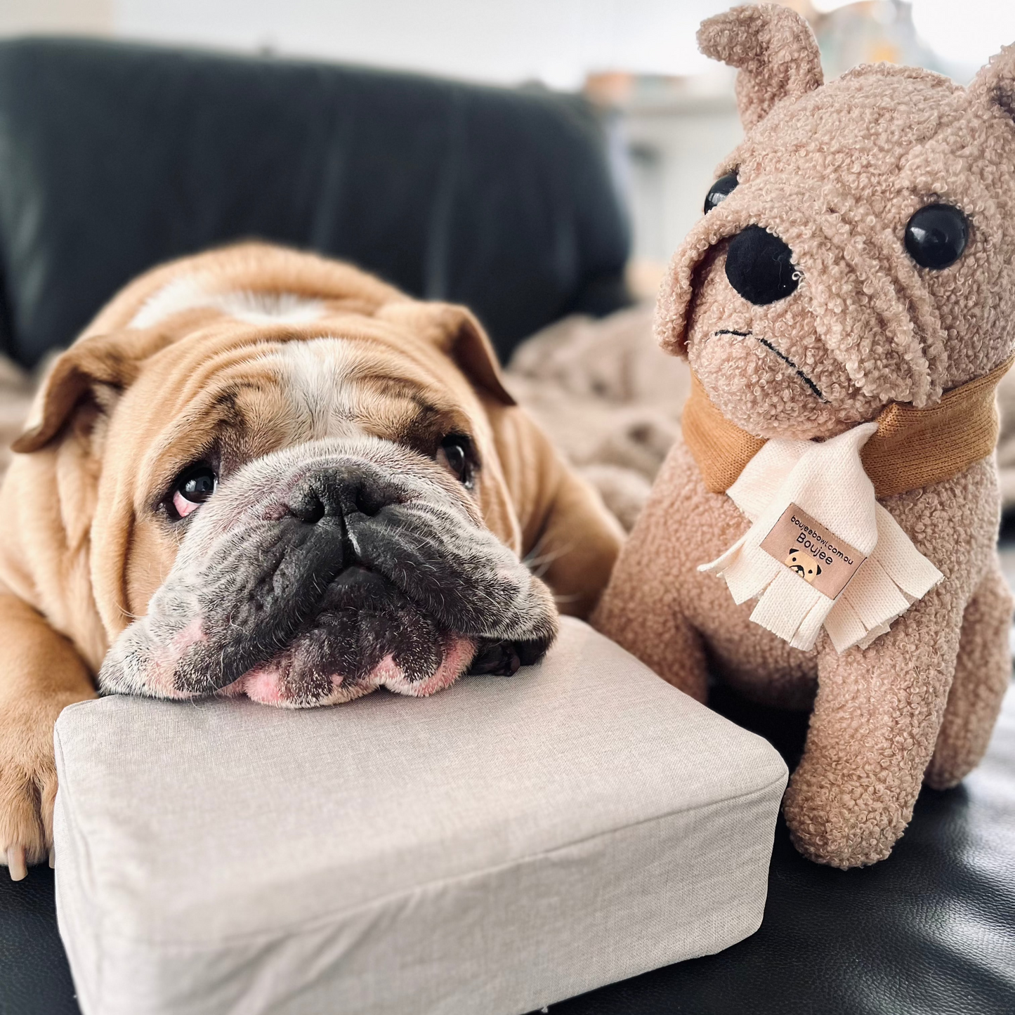 Boujee Plush