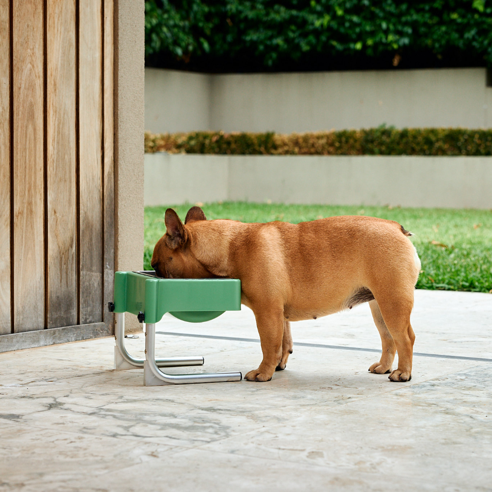 Boujee Bowl Regular Feeder Insert